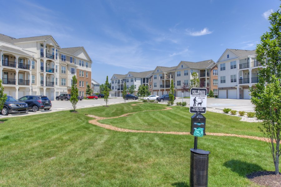 When filling out an application, be sure to note if you have a dog or other pets. If you do, a dog park like this one at Lakeside Apartments would be fantastic. Designated dog park at apartment community.